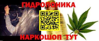 ГАЛЛЮЦИНОГЕННЫЕ ГРИБЫ Обь