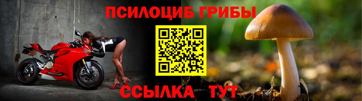 Рассказово  даркнет сайт  Вход с VPN  Псилоцибиновые грибы Psilocybe 